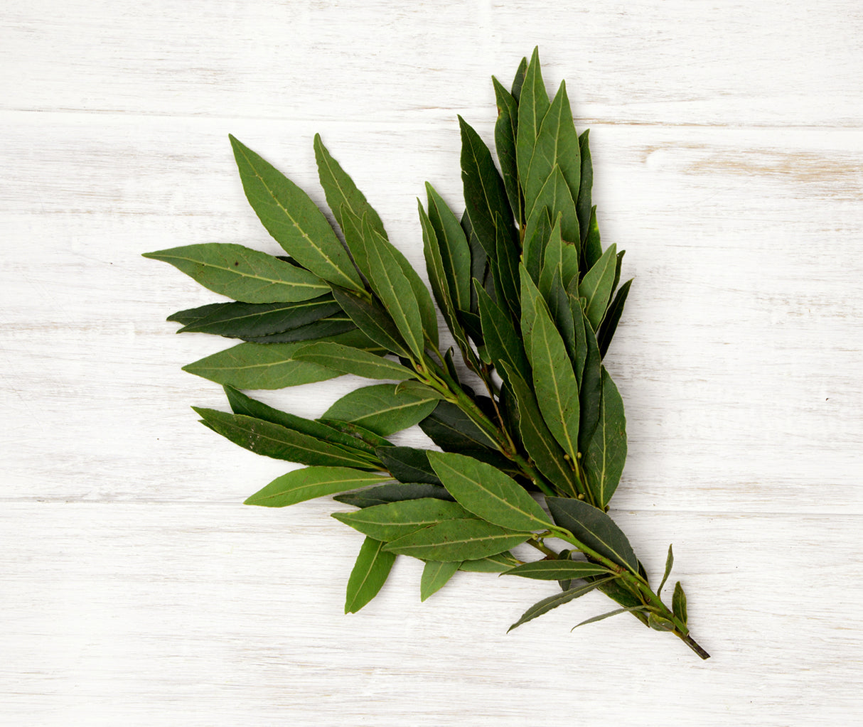 One large bunch of Bayleaves locally sourced for Home Vegetable boxes
