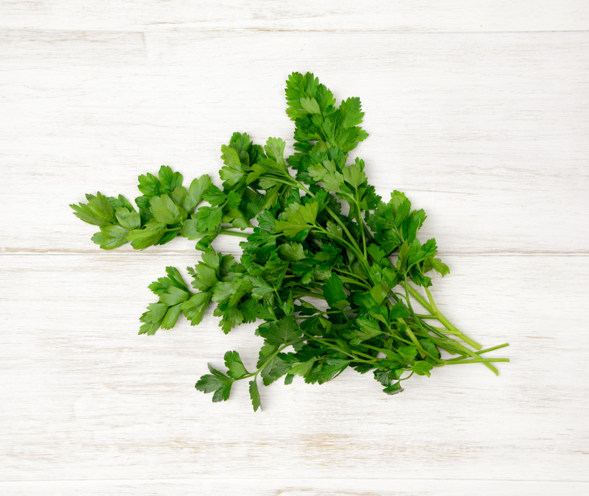 Coriander (25g)
