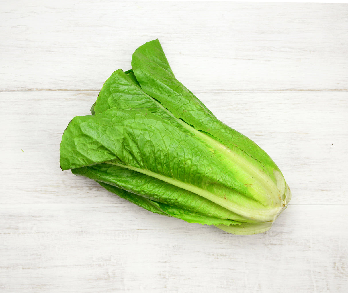 One bunch of Cos Lettuce leaves locally sourced and perfect for your customised Vegetable Box