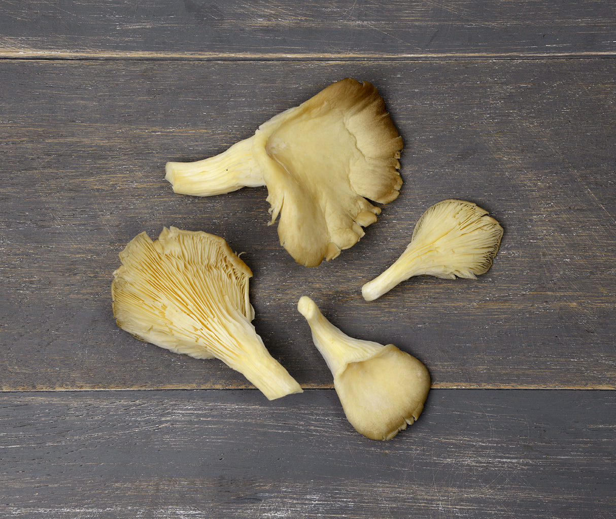 Oyster Mushroom (250g)