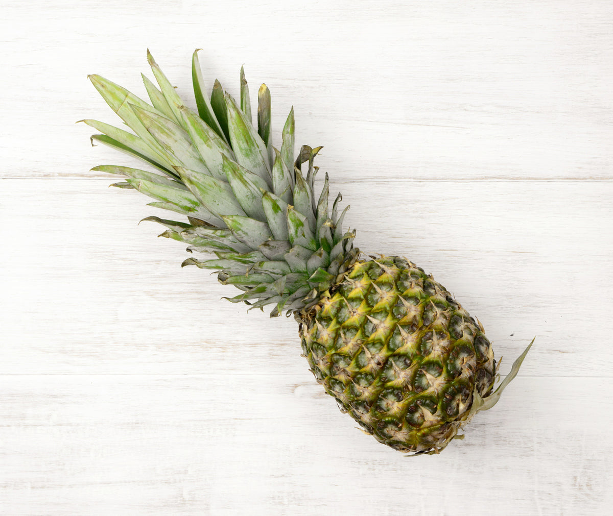 buy pineapple plant london Buy Single Pineapple Online – Fruit 4 London