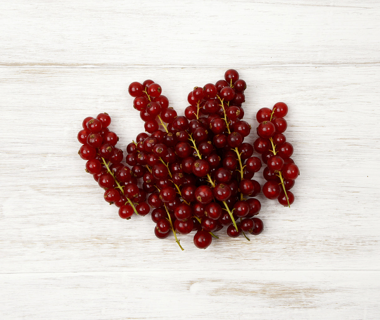 Red Currant (125g)