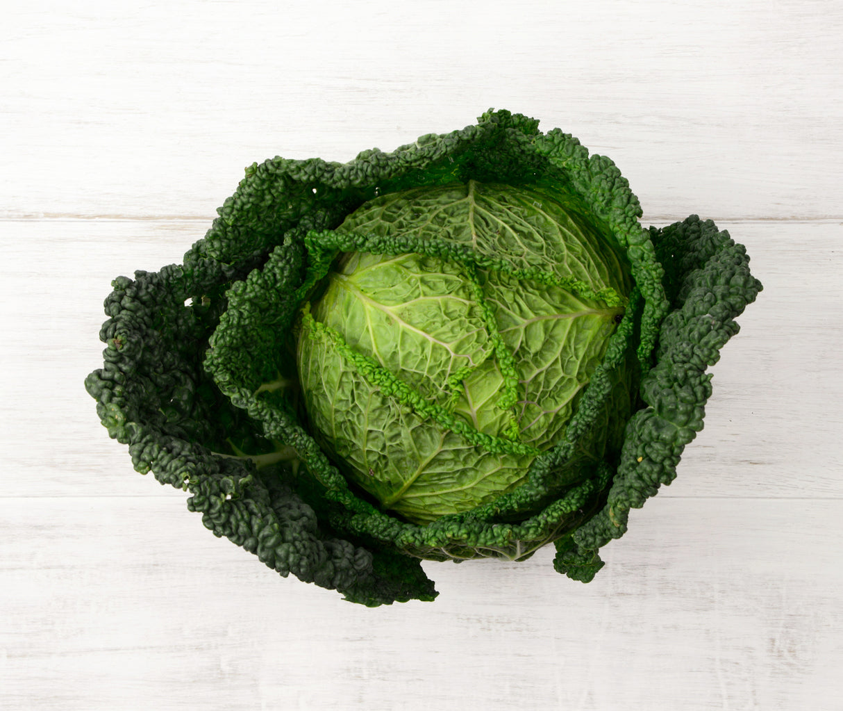 Savoy Cabbage (each)