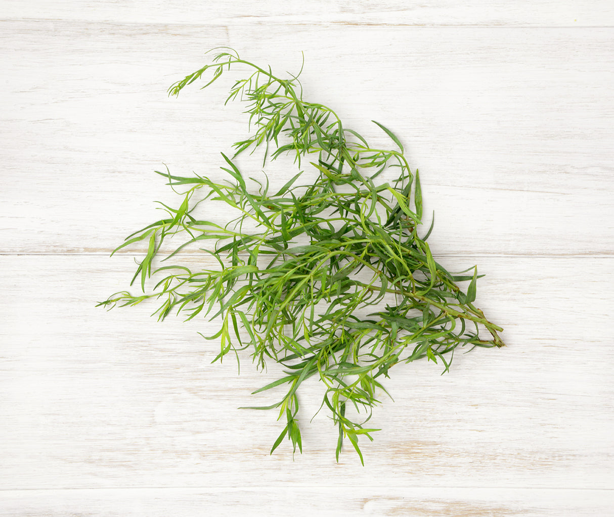 Tarragon (25g)