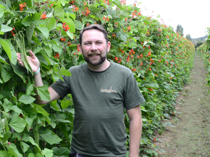 Person hand-picking locally sourced Fruit for the Office
