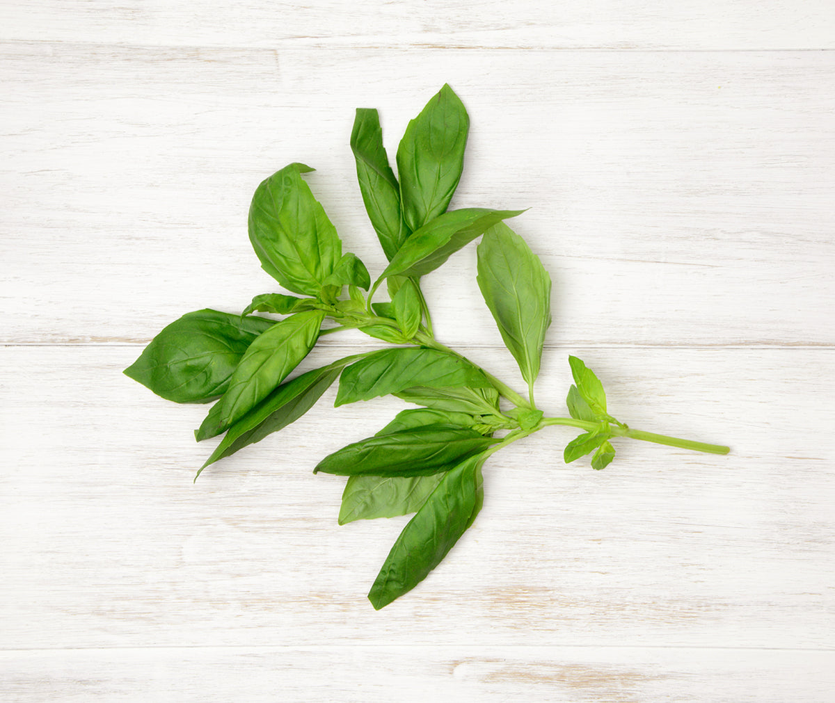 Buy 25g of Basil Online – Fruit 4 London