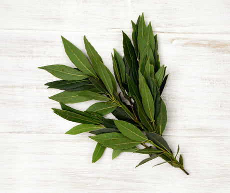 One large bunch of Bayleaves locally sourced for Home Vegetable boxes