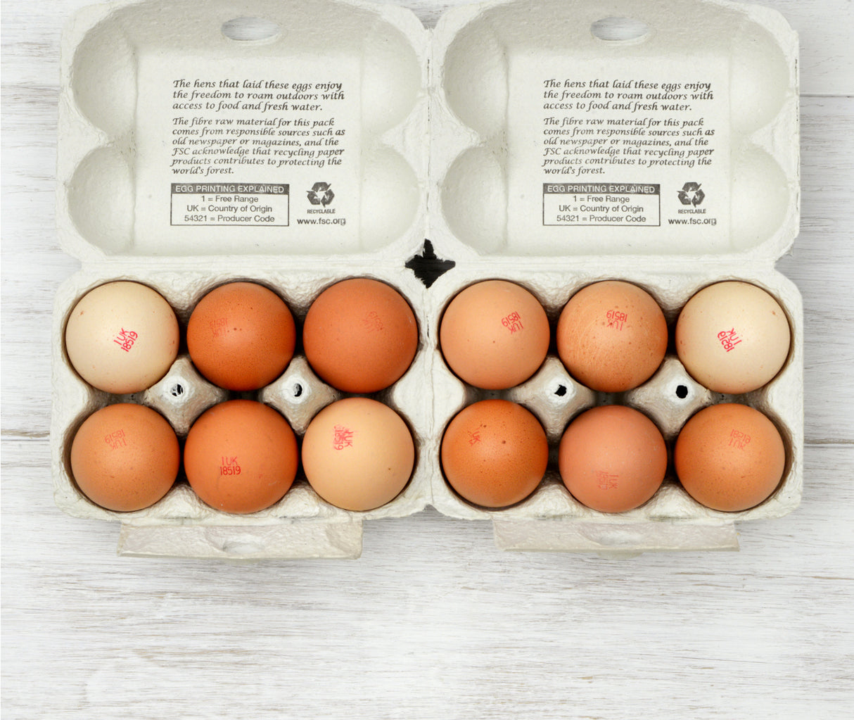 Fresh Free Range Eggs (12 eggs)
