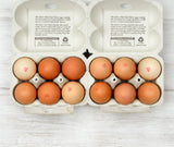 Fresh Free Range Eggs (12 eggs)