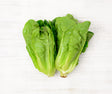 Two bunches of Gem Lettuce locally sourced and perfect for your customised Vegetable Box