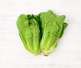 Two bunches of Gem Lettuce locally sourced and perfect for your customised Vegetable Box