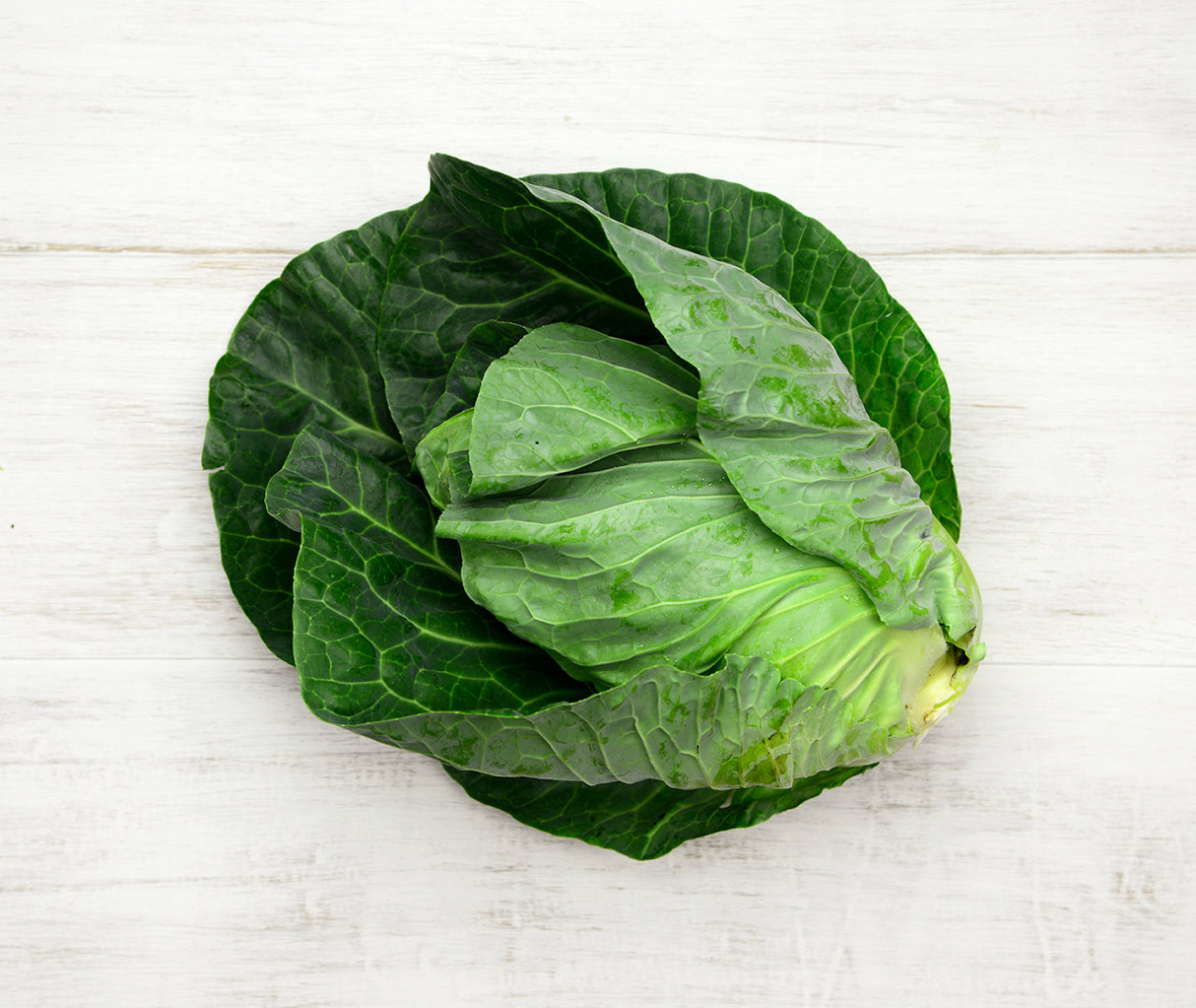 Green Cabbage (head)