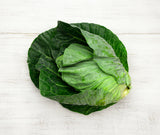 Green Cabbage (head)