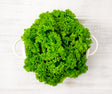 One green Lolla Bionda Lettuce locally sourced and perfect for your customised Vegetable Box