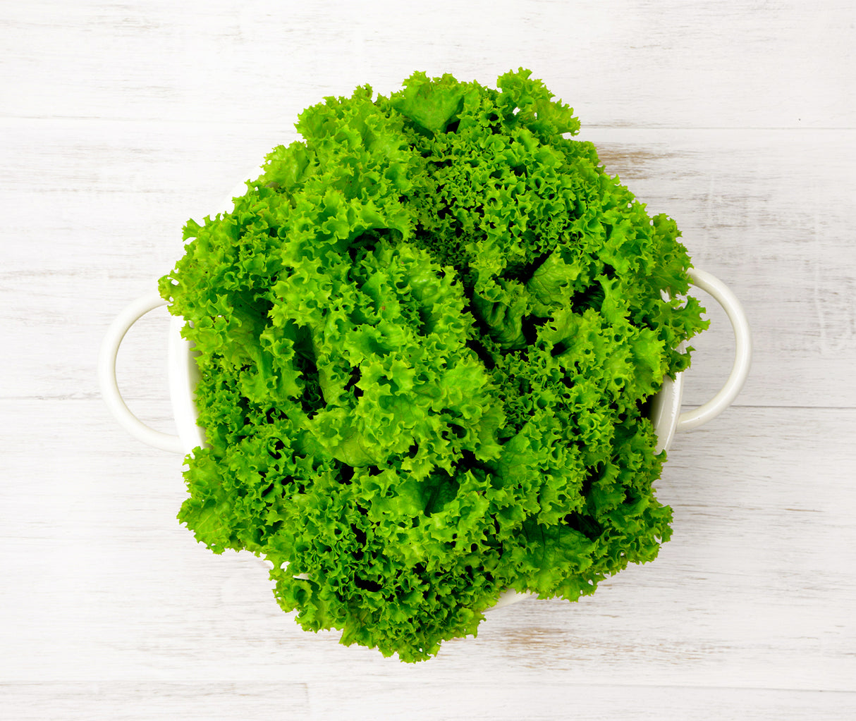 One green Lolla Bionda Lettuce locally sourced and perfect for your customised Vegetable Box