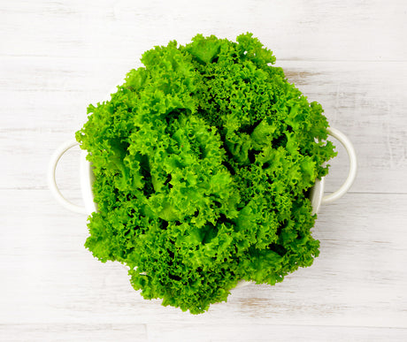 One green Lolla Bionda Lettuce locally sourced and perfect for your customised Vegetable Box