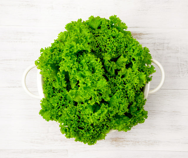 One green Lolla Bionda Lettuce locally sourced and perfect for your customised Vegetable Box