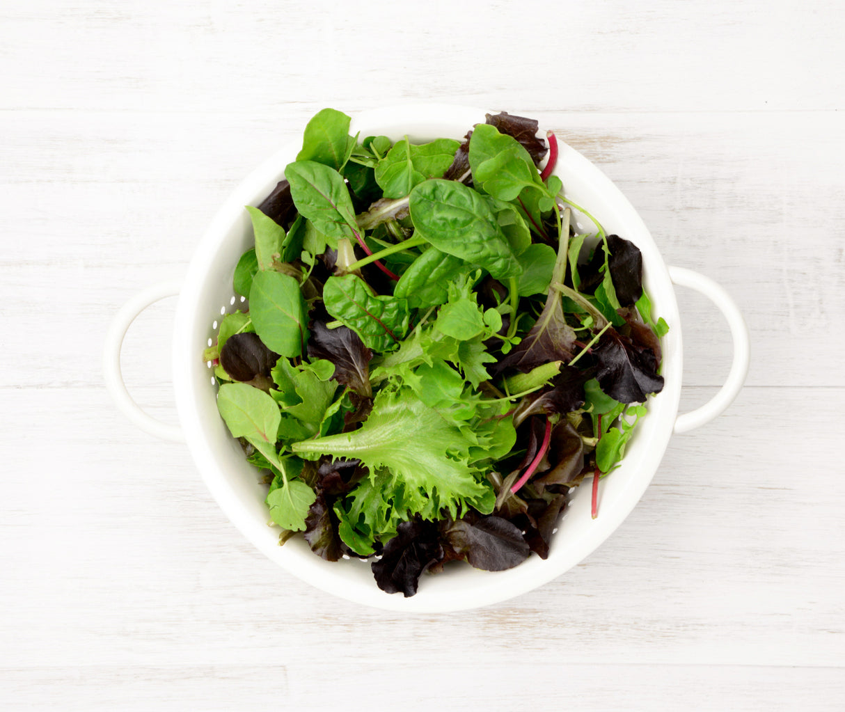 Mixed Baby Leaf (100g)