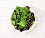 Mixed Baby Leaf (100g)