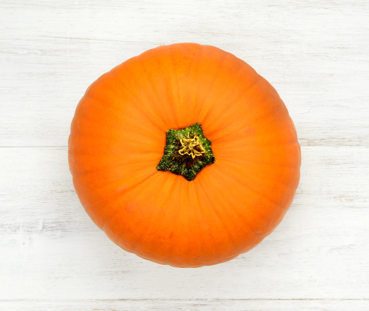 Pumpkin (each)