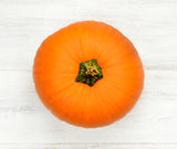 Pumpkin (each)