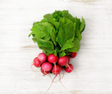 Radish (bunch)