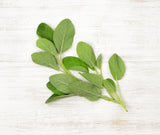 Sage (25g)